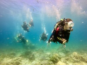 綠島潛水｜考PADI OW水肺證照、體驗潛水旅宿推薦：海子Ocean Rover